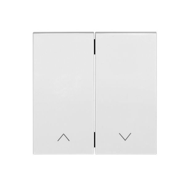 Rocker, arrow symbol for blinds switch, push button, white image 1