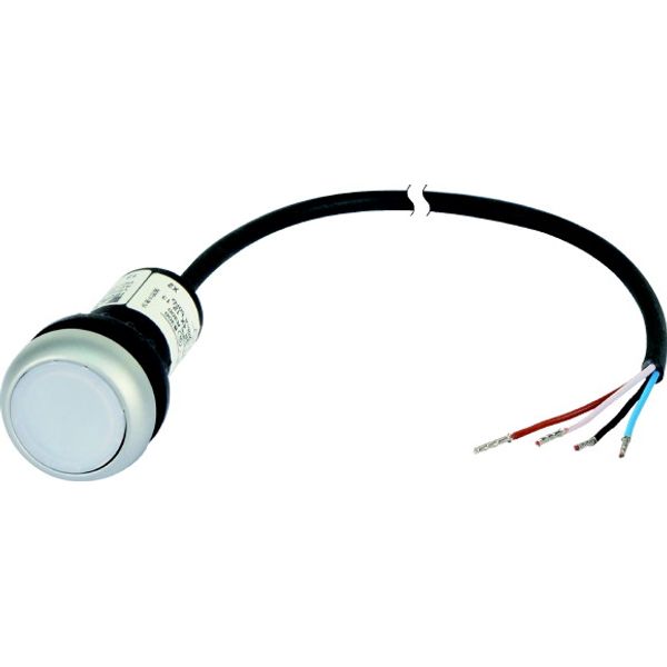Illuminated pushbutton actuator, classic, flat, maintained, 1 N/O, white, 24 V AC/DC, cable (black) with non-terminated end, 4 pole, 1 m image 1