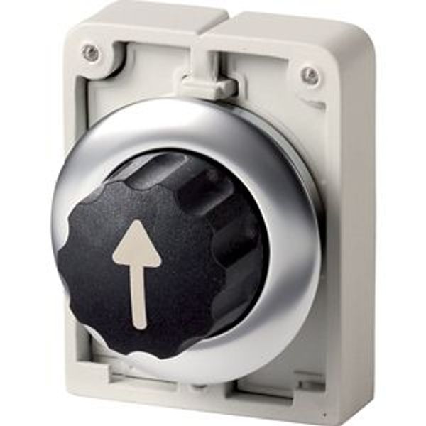 Changeover switch, RMQ-Titan, with thumb-grip, maintained, 3 positions, Front ring stainless steel, arrow up image 2