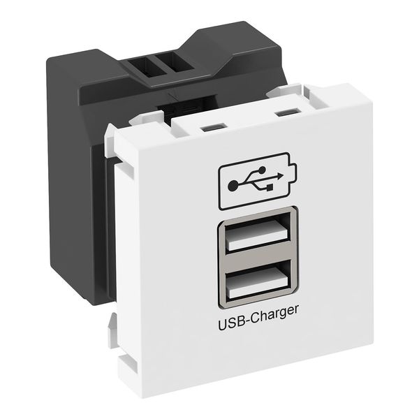 MTG-2UC2.1 RW1 USB charger with 2.1 A charging current 45x45mm image 1