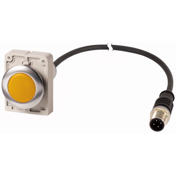 Indicator light, Flat, Cable (black) with M12A plug, 4 pole, 1 m, Lens yellow, LED white, 24 V AC/DC image 1