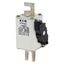 Fuse-link, high speed, 315 A, AC 1250 V, size 1, 53 x 69 x 138 mm, aR, DIN, IEC, single indicator thumbnail 7