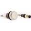 Pushbutton, Flat, momentary, 1 N/O, Cable (black) with M12A plug, 4 pole, 0.2 m, White, Blank, Bezel: titanium thumbnail 4