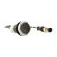 Pushbutton, Flat, momentary, 1 NC, Cable (black) with M12A plug, 4 pole, 0.2 m, black, Blank, Bezel: titanium thumbnail 16