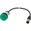 Indicator light, Flat, Cable (black) with M12A plug, 4 pole, 1 m, Lens green, LED green, 24 V AC/DC thumbnail 2