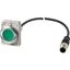 Pushbutton, Flat, maintained, 1 N/O, Cable (black) with M12A plug, 4 pole, 1 m, green, Blank, Metal bezel thumbnail 2