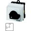 On-Off switch, T0, 20 A, service distribution board mounting, 1 contact unit(s), 2 pole, with black thumb grip and front plate thumbnail 2