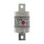 Fuse-link, LV, 630 A, AC 660 V, DC 450 V, BS88/C2, 74 x 210 mm, gL/gG, BS thumbnail 17