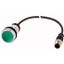 Illuminated pushbutton actuator, Flat, momentary, 1 N/O, Cable (black) with M12A plug, 4 pole, 0.5 m, LED green, green, Blank, 24 V AC/DC, Bezel: tita thumbnail 1