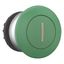 Mushroom actuator, RMQ-Titan, Mushroom, momentary, Mushroom green, green, inscribed, Bezel: titanium thumbnail 12