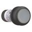 Illuminated pushbutton actuator, Flat, maintained, 1 N/O, Screw connection, LED white, White, Blank, 24 V AC/DC, Bezel: black thumbnail 12