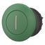 Mushroom actuator, RMQ-Titan, Mushroom, maintained, Mushroom green, green, inscribed, Bezel: black thumbnail 11