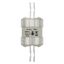 Utility fuse-link, low voltage, 160 A, AC 415 V, BS88/J, 38 x 101 mm, gL/gG, BS thumbnail 21