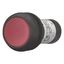 Illuminated pushbutton actuator, Flat, momentary, 1 NC, Screw connection, LED Red, red, Blank, 24 V AC/DC, Bezel: black thumbnail 2