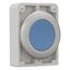 Pushbutton, RMQ-Titan, Flat, maintained, Blue, Blank, Metal bezel thumbnail 6