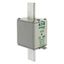 Fuse-link, low voltage, 160 A, AC 500 V, NH2, aM, IEC, dual indicator thumbnail 10