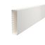 WDK60230RW Wall trunking system with base perforation 60x230x2000 thumbnail 1