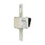 Fuse-link, high speed, 450 A, AC 690 V, size 1, 53 x 69 x 136 mm, aR, IEC, UL, single indicator thumbnail 13