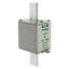 Fuse-link, low voltage, 125 A, AC 500 V, NH2, aM, IEC, dual indicator thumbnail 9