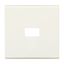 2106 N-32 CoverPlates (partly incl. Insert) carat® White thumbnail 4