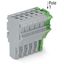 1-conductor female connector Push-in CAGE CLAMP® 4 mm² gray, green-yel thumbnail 2