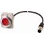 Illuminated pushbutton actuator, Flat, maintained, 1 NC, Cable (black) with M12A plug, 4 pole, 1 m, LED Red, red, Blank, 24 V AC/DC, Metal bezel thumbnail 1