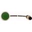 Pushbutton, Flat, momentary, 1 N/O, Cable (black) with M12A plug, 4 pole, 0.2 m, green, Blank, Bezel: titanium thumbnail 2