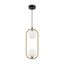 Modern Ring Pendant Lamp Brass thumbnail 1