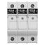 Fuse-holder, LV, 30 A, AC 600 V, 10 x 38 mm, CC, 3P, UL, indicating, DIN rail mount thumbnail 44