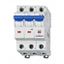 Miniature Circuit Breaker (MCB) D, 6A, 3-pole, 10kA thumbnail 2