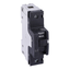 Miniature circuit-breaker, Acti9 NG125H, 1P, 80 A, D curve, 36 kA (IEC 60947-2) thumbnail 4