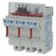 Fuse-holder, low voltage, 50 A, AC 690 V, 14 x 51 mm, 3P, IEC thumbnail 4