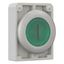 Illuminated pushbutton actuator, RMQ-Titan, Flat, momentary, green, inscribed 1, Metal bezel thumbnail 11