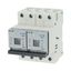 Fuse switch-disconnector, LPC, 25 A, service distribution board mounting, 2 pole, DII thumbnail 19