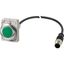 Indicator light, Flat, Cable (black) with M12A plug, 4 pole, 1 m, Lens green, LED green, 24 V AC/DC thumbnail 2