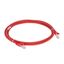 Patch cord RJ45 category 6A U/UTP unscreened LSZH red 5 meters thumbnail 2
