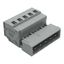 1-conductor male connector CAGE CLAMP® 2.5 mm² gray thumbnail 2