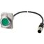 Illuminated pushbutton actuator, Flat, maintained, 1 N/O, Cable (black) with M12A plug, 4 pole, 1 m, LED green, green, Blank, 24 V AC/DC, Metal bezel thumbnail 4