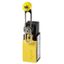 Position switch, Adjustable roller lever, Complete unit, 1 N/O, 1 NC, Screw terminal, Yellow, Insulated material, -25 - +70 °C thumbnail 1