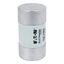 House service fuse-link, low voltage, 100 A, AC 415 V, BS system C type II, 23 x 57 mm, gL/gG, BS thumbnail 19
