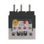 Overload relay, ZB65, Ir= 24 - 40 A, 1 N/O, 1 N/C, Direct mounting, IP00 thumbnail 7