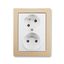 5592G-C02349 D1 Outlet with pin, overvoltage protection ; 5592G-C02349 D1 thumbnail 31