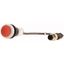 Pushbutton, Flat, momentary, 1 NC, Cable (black) with M12A plug, 4 pole, 1 m, red, Blank, Bezel: titanium thumbnail 12