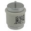 Fuse-link, low voltage, 125 A, AC 500 V, D5, 56 x 46 mm, aR, DIN, IEC, ultra rapid thumbnail 15