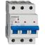 Miniature Circuit Breaker (MCB) AMPARO 10kA, B 10A, 3-pole thumbnail 1