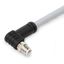Power cable M12L plug angled 5-pole thumbnail 1
