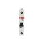 S201P-K25 Miniature Circuit Breaker - 1P - K - 25 A thumbnail 5