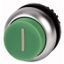 Pushbutton, RMQ-Titan, Extended, maintained, green, inscribed, Bezel: titanium thumbnail 1