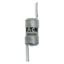 Fuse-link, LV, 16 A, AC 240 V, BS88/E1, 12 x 47 mm, gL/gG, BS thumbnail 12