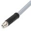 Power cable M12L plug straight 5-pole thumbnail 2